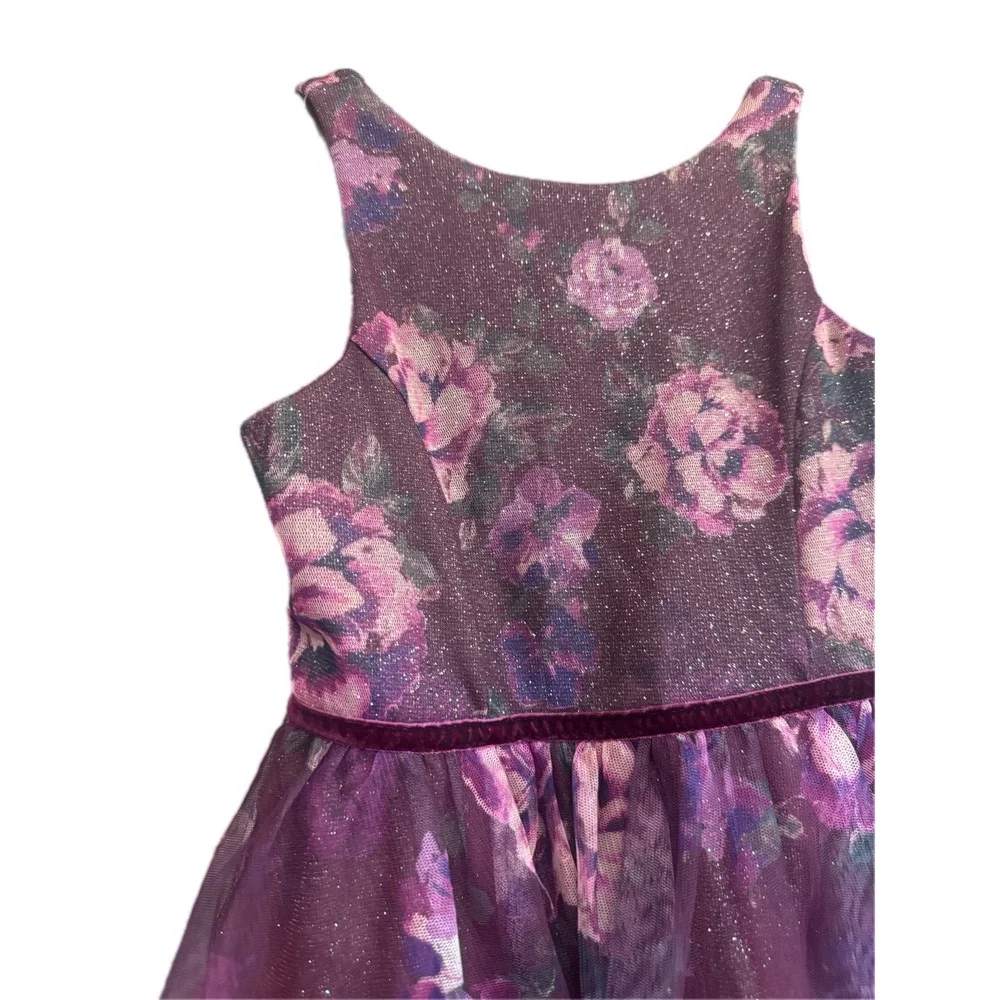 Zenzi Floral Party‎ Dress Girls XS 4/5 Purple Glitter Mesh Velvet Trim Excellent